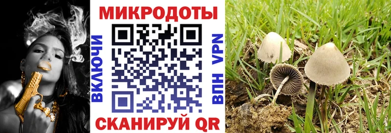 Псилоцибиновые грибы прущие грибы Жердевка